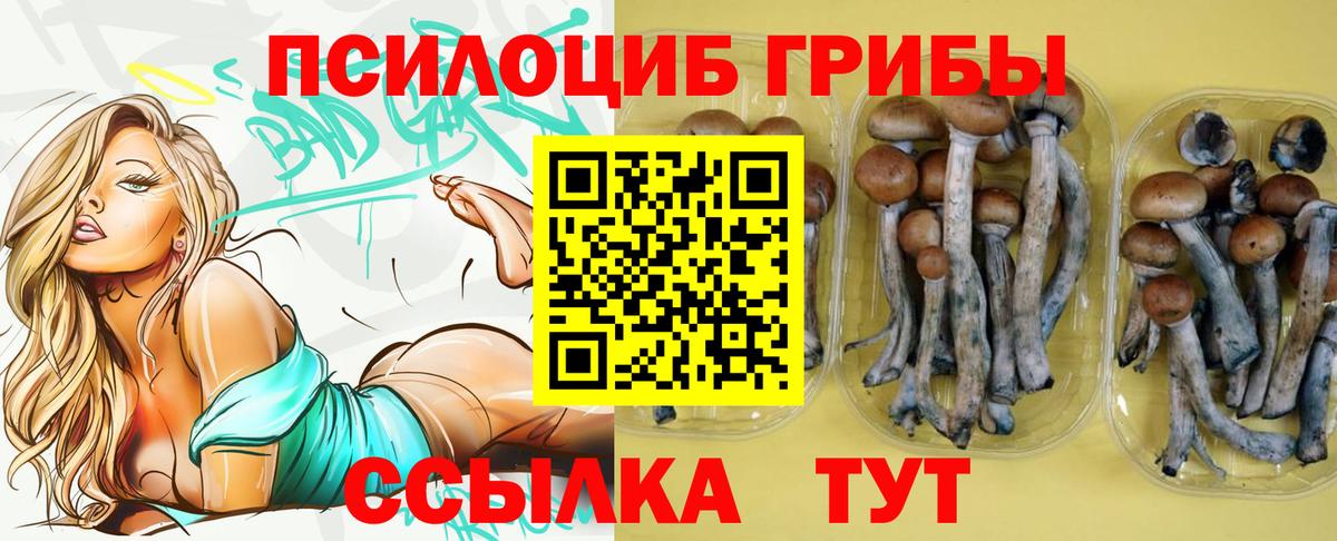 Галлюциногенные грибы прущие грибы  Вход с VPN  Оренбург 
