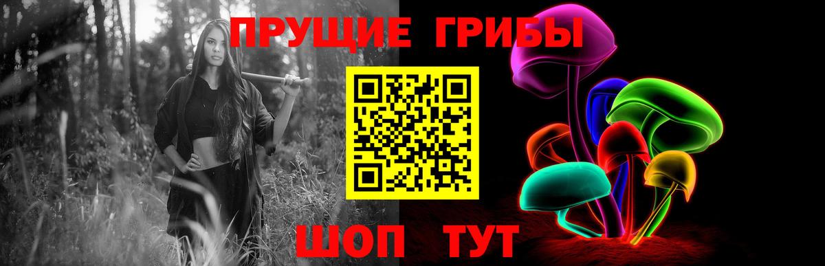 Псилоцибиновые грибы Psilocybe Оренбург